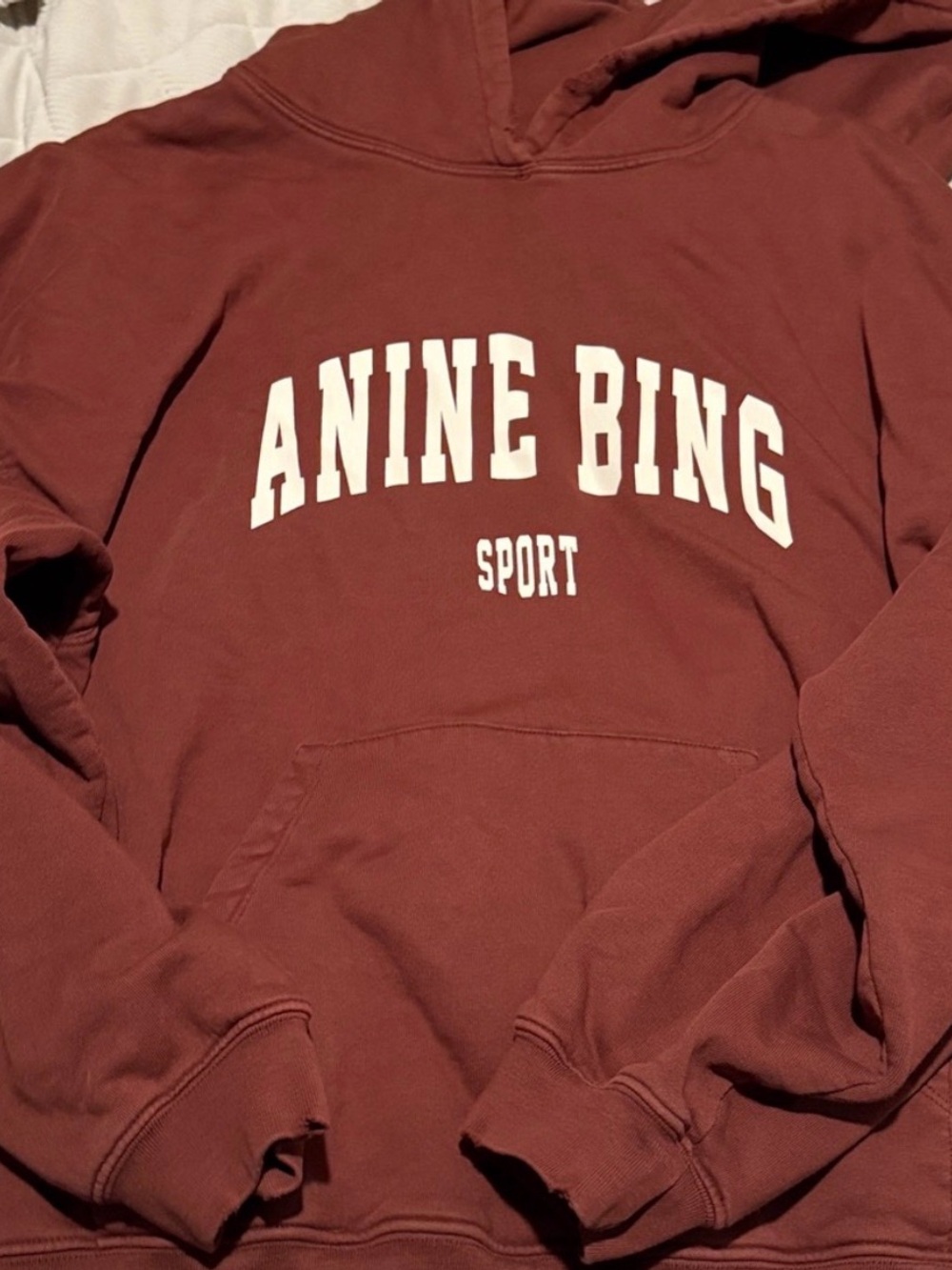 Anine Bing Sport Hoodie in Rust Red